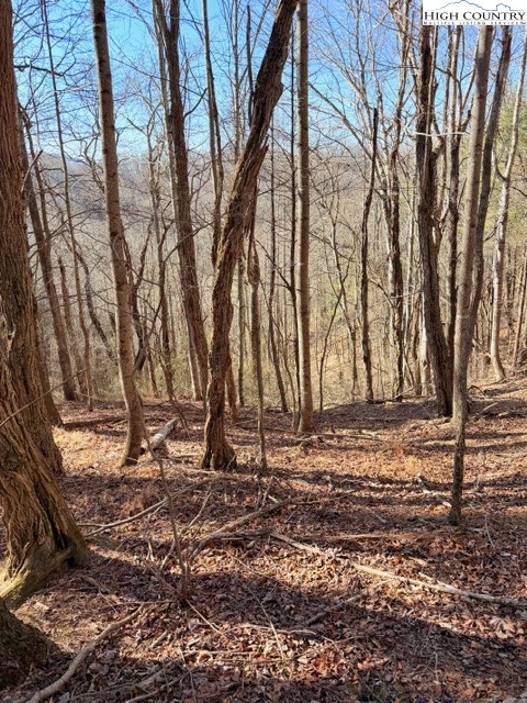 13.518 Landmark Church Road Lansing, NC 28643 - Photo 26 of 31 a view of a backyard of the house