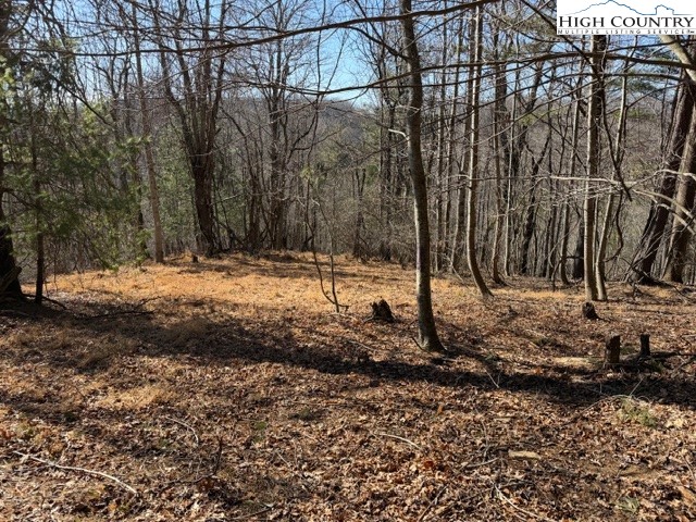 13.518 Landmark Church Road Lansing, NC 28643 - Photo 28 of 31 a view of a yard covered with snow