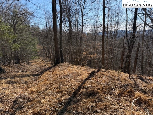 13.518 Landmark Church Road Lansing, NC 28643 - Photo 29 of 31