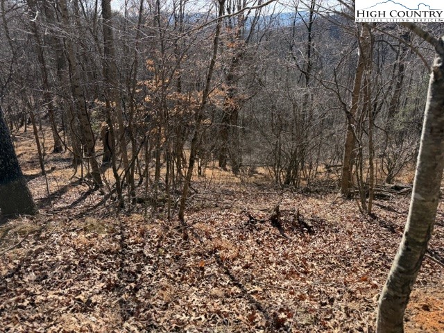 13.518 Landmark Church Road Lansing, NC 28643 - Photo 30 of 31 a view of covered with green space