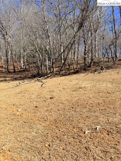 13.518 Landmark Church Road Lansing, NC 28643 - Photo 3 of 31 a view of a yard covered with snow