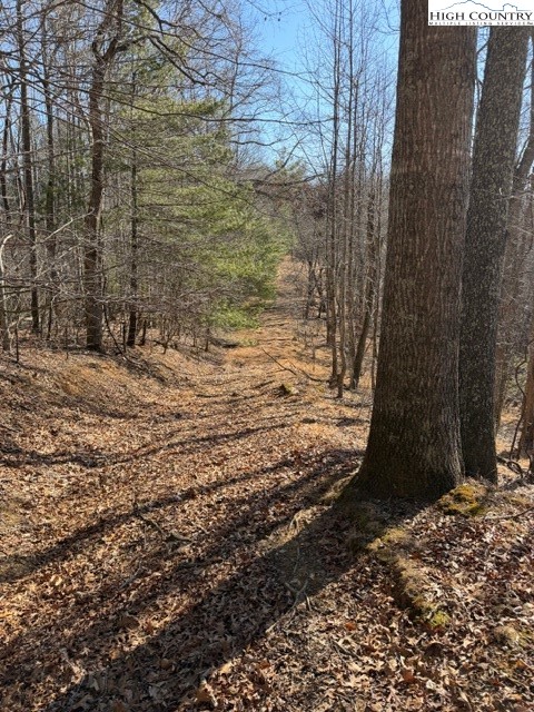 13.518 Landmark Church Road Lansing, NC 28643 - Photo 31 of 31 a view of a backyard with plants