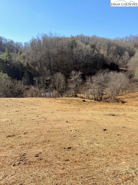 13.518 Landmark Church Road Lansing, NC 28643 - Photo 4 of 31 a view of large yard