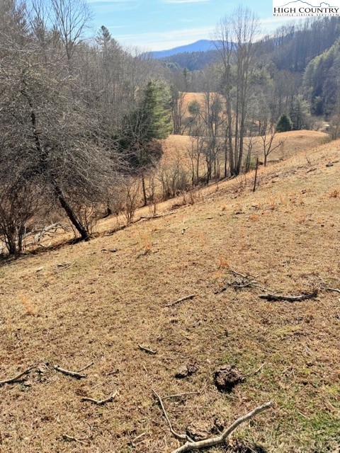 13.518 Landmark Church Road Lansing, NC 28643 - Photo 6 of 31 a view of a snow on the yard