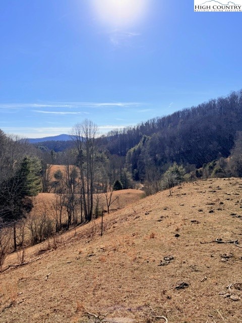 13.518 Landmark Church Road Lansing, NC 28643 - Photo 8 of 31 a view of a dry yard with a tree