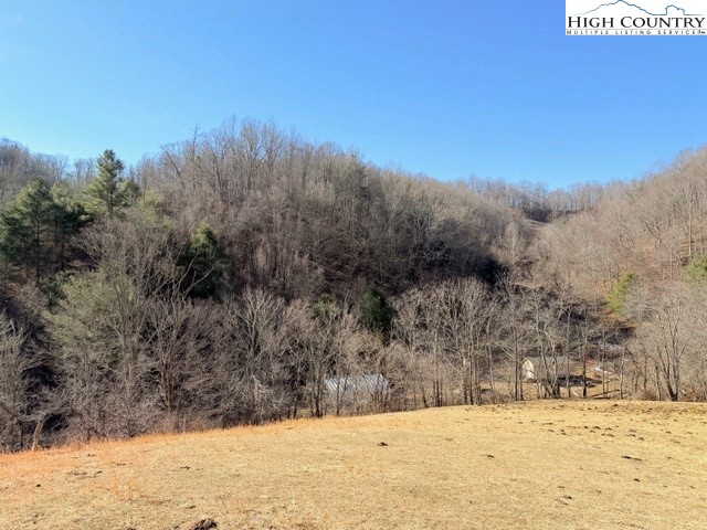 13.518 Landmark Church Road Lansing, NC 28643 - Photo 10 of 31 a view of a yard covered in snow