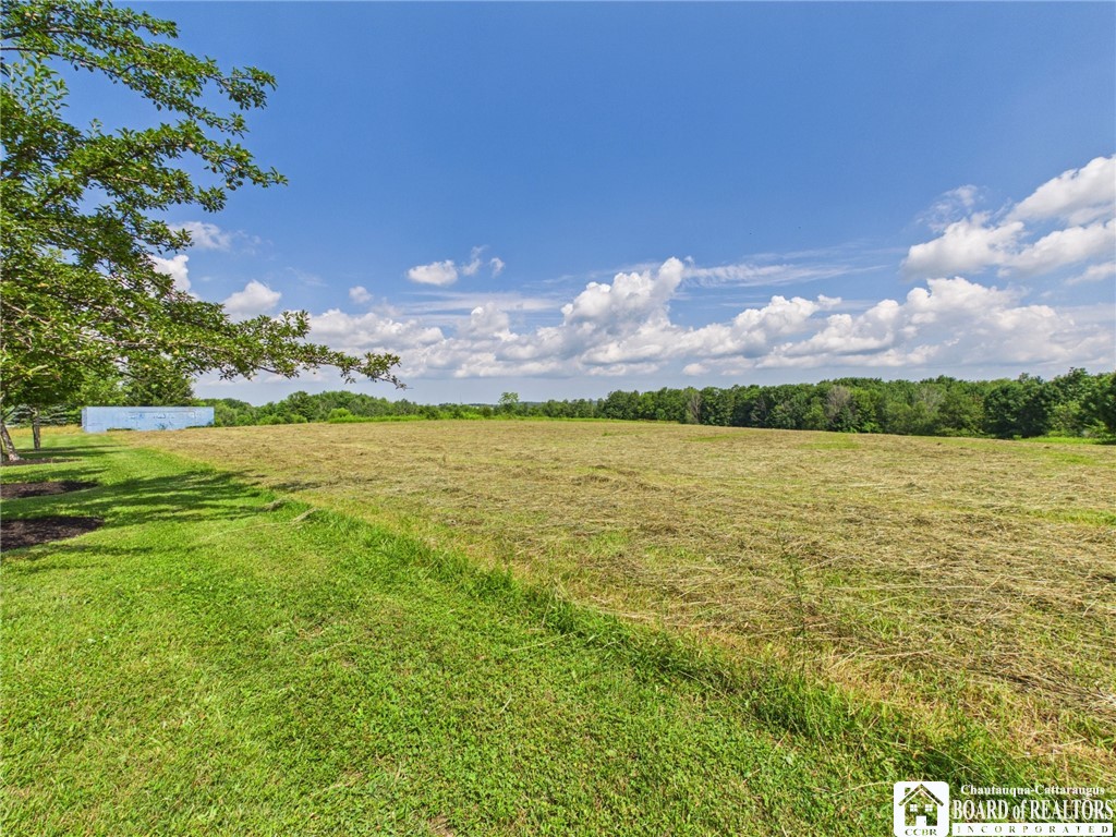 9546 Reagan Road French Creek, NY 14724 - Photo 25 of 31