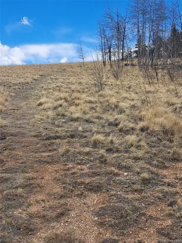 $49,500 | 0 Kiowa Street, Como, CO 80456