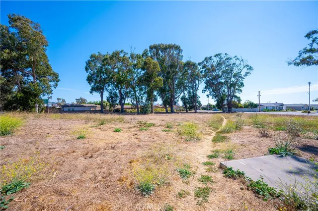 a view of yard with green space