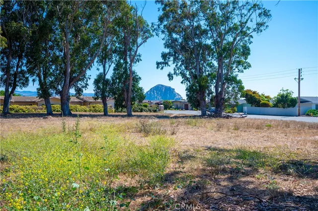 a view of a yard with a tree