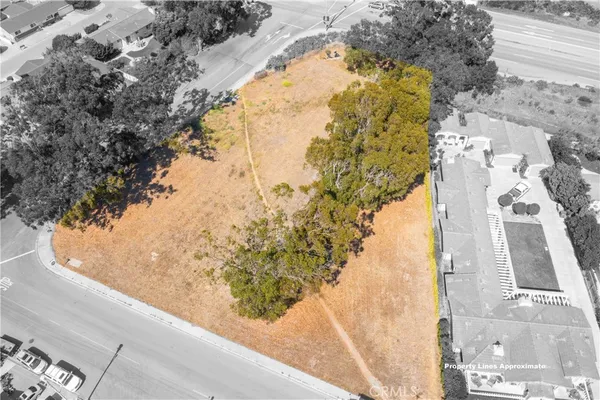 a view of a yard with a tree
