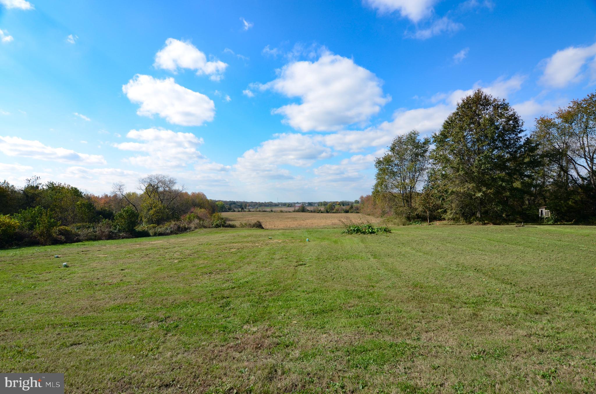 19 Harrisonville Lake Road Pilesgrove, NJ 08098 - Photo 39 of 44 a view of an outdoor space and yard