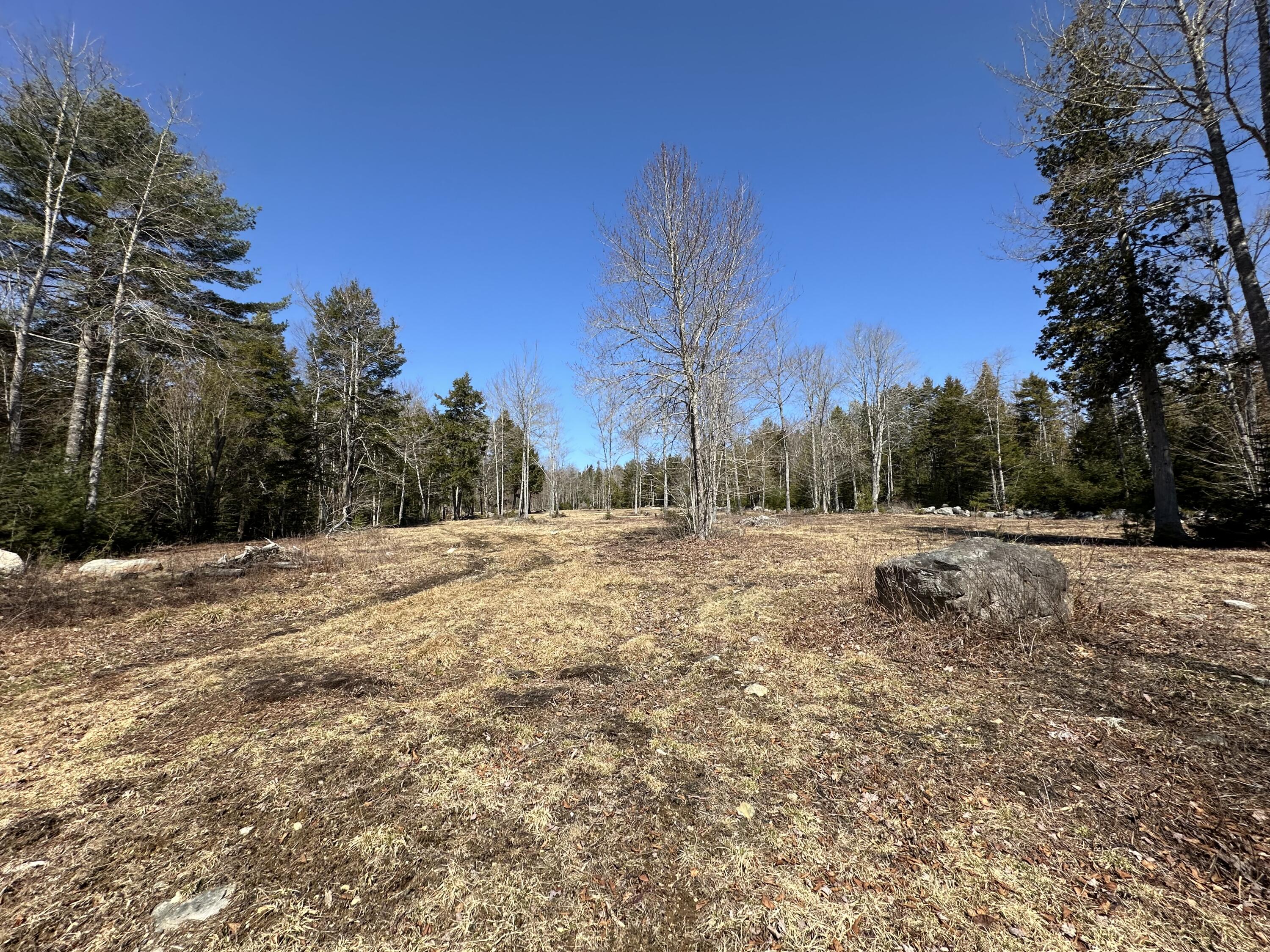 Lot #0 Morgan Bay Road Surry, ME 04684 - Photo 13 of 21 IMG_6265