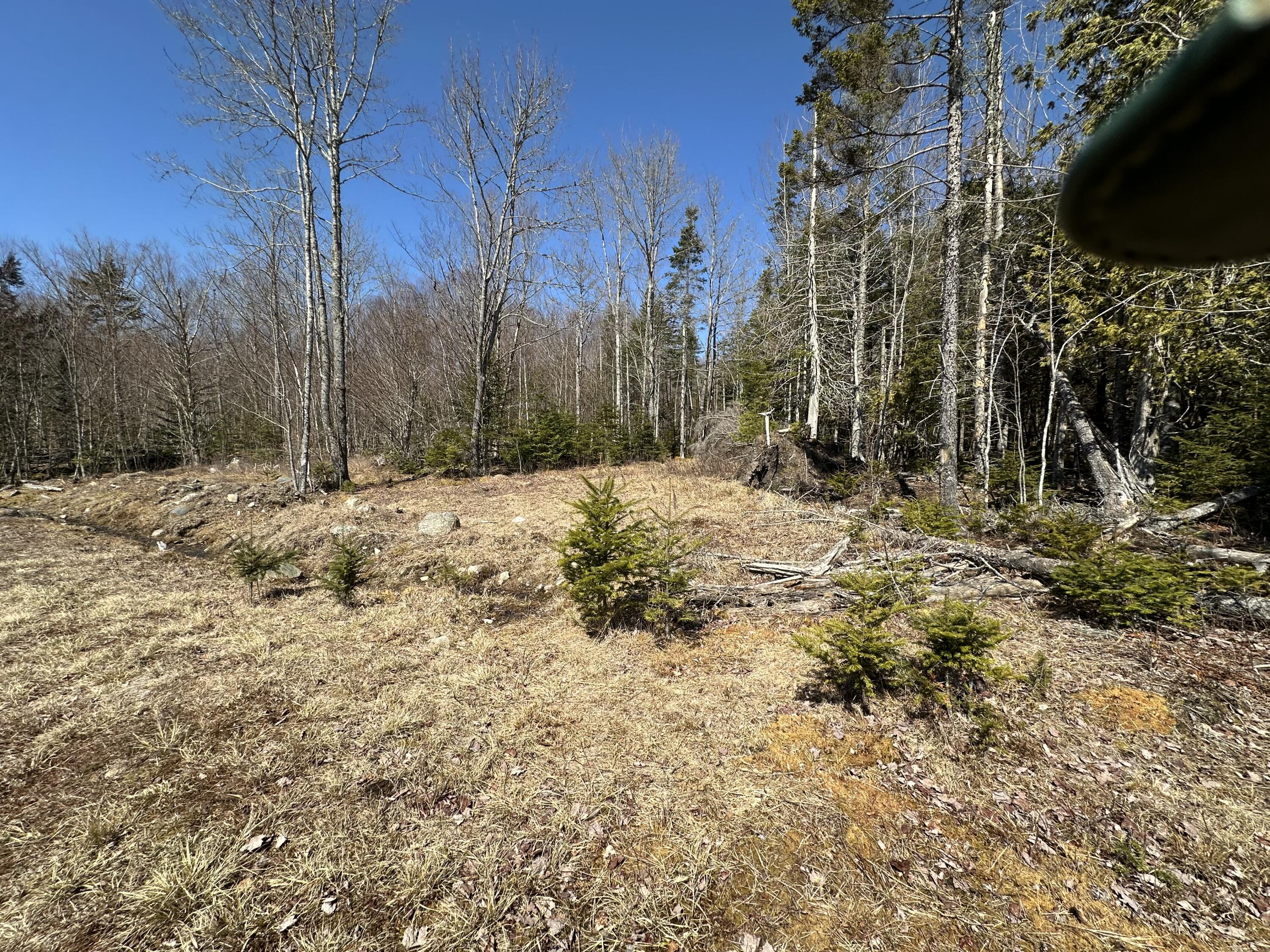 Lot #0 Morgan Bay Road Surry, ME 04684 - Photo 19 of 21 IMG_6256