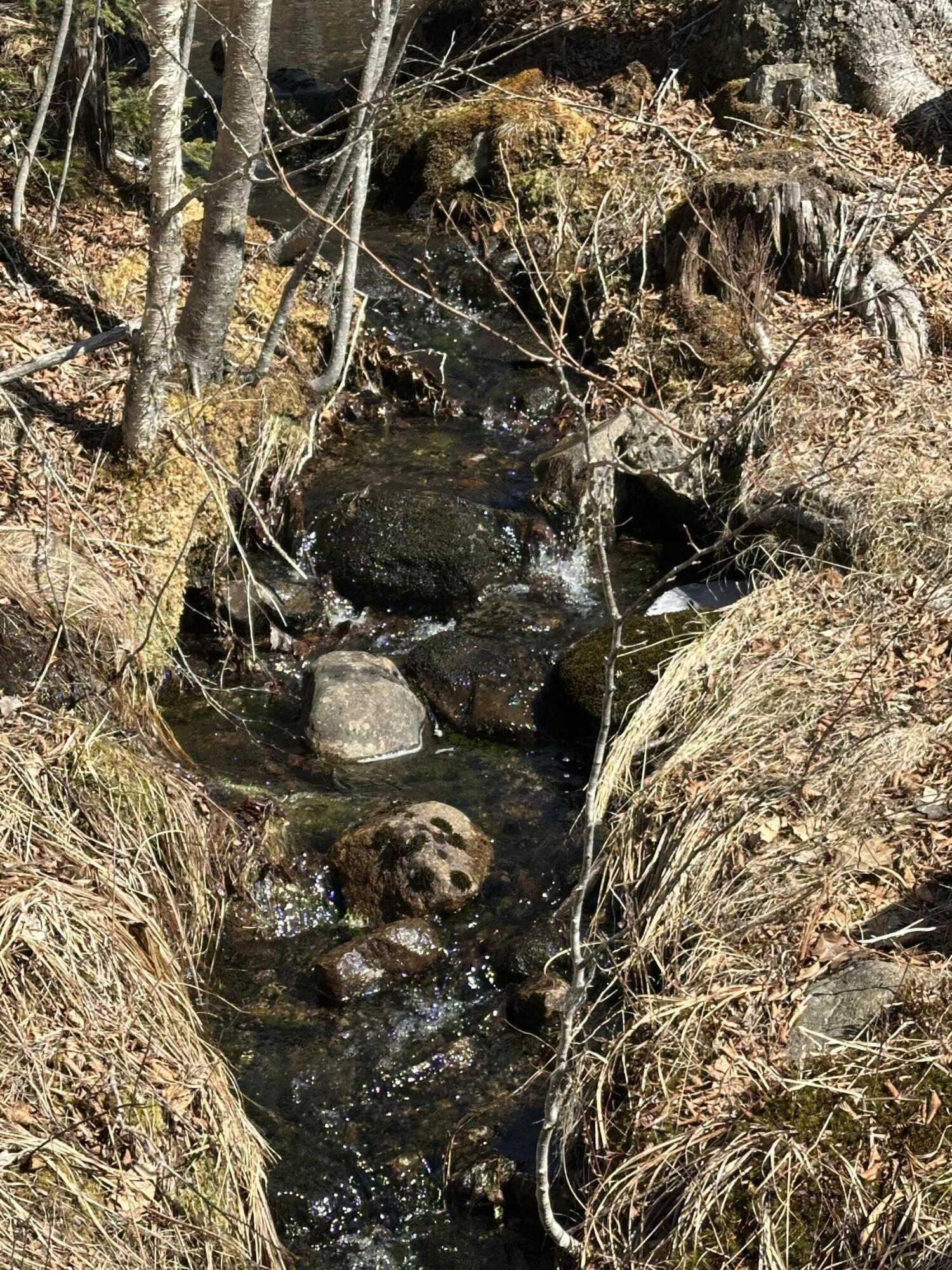 Lot #0 Morgan Bay Road Surry, ME 04684 - Photo 2 of 21 IMG_6253