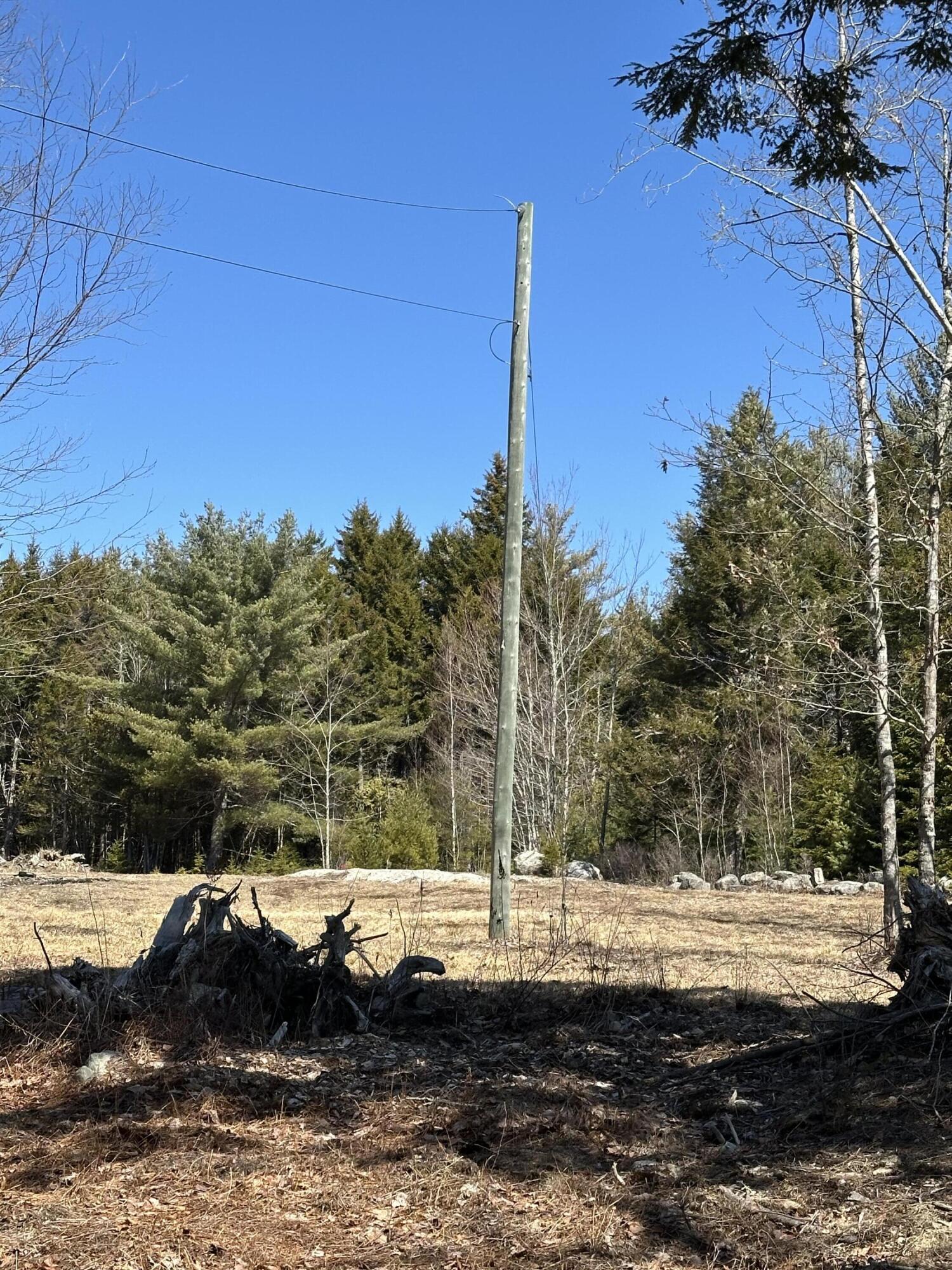 Lot #0 Morgan Bay Road Surry, ME 04684 - Photo 21 of 21 IMG_6268