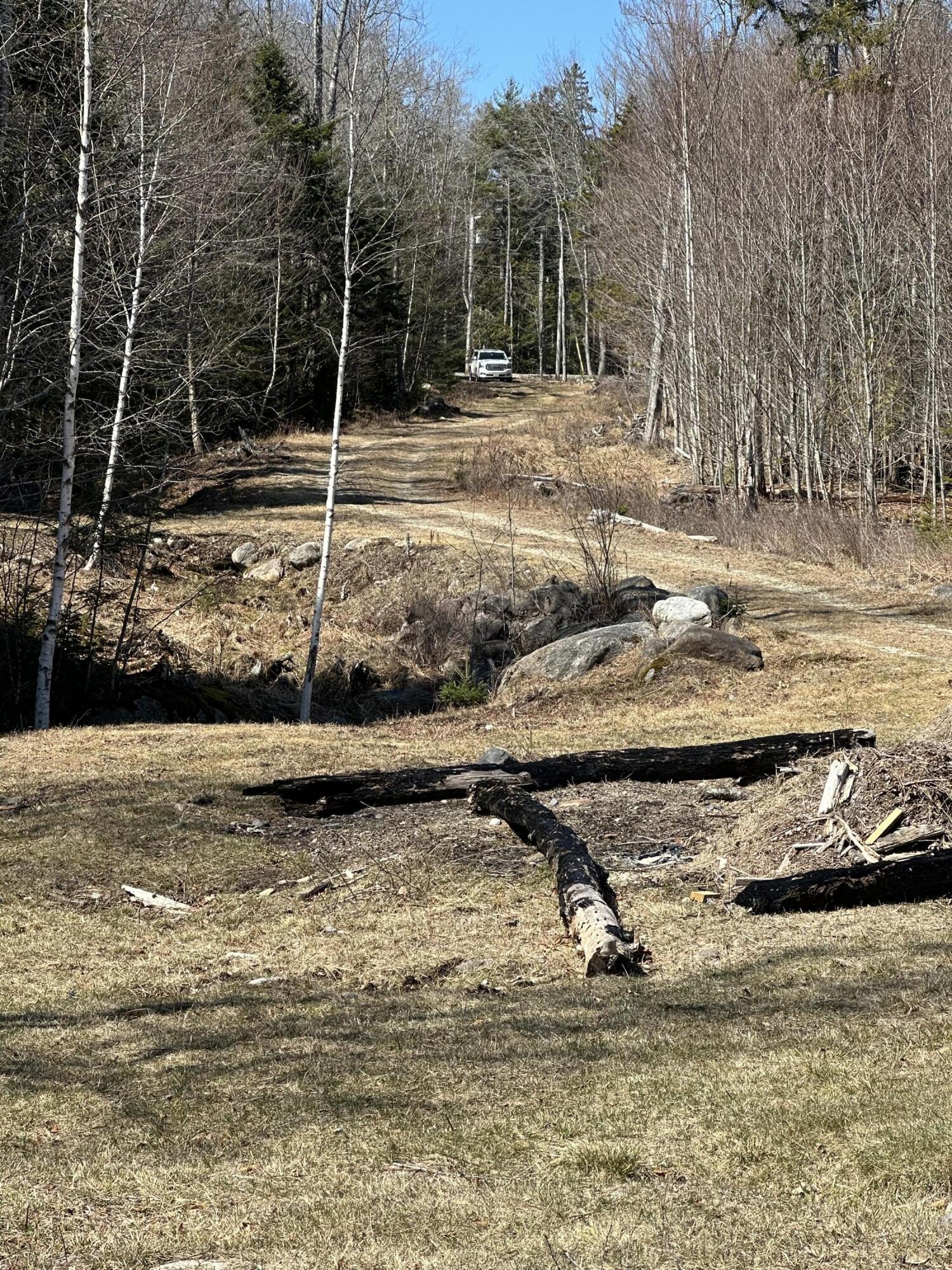 Lot #0 Morgan Bay Road Surry, ME 04684 - Photo 9 of 21 IMG_6274