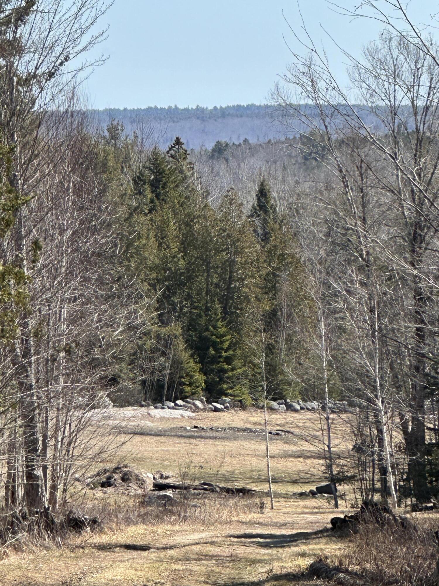 Lot #0 Morgan Bay Road Surry, ME 04684 - Photo 10 of 21 IMG_6275