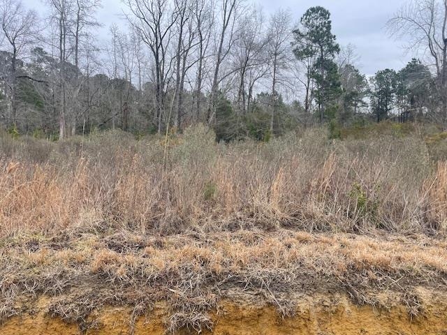 3137 Deer Drive Loris, SC 29569 - Photo 2 of 3