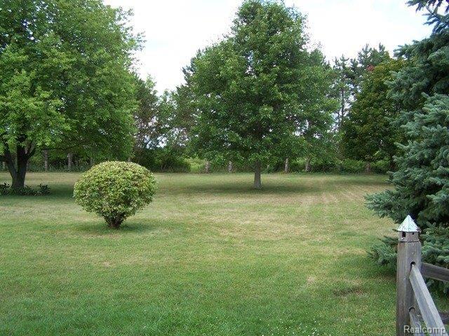 12585 Holtforth Road Fenton, MI 48430 - Photo 5 of 24 Holtforth 12585 Back Yard.JPG