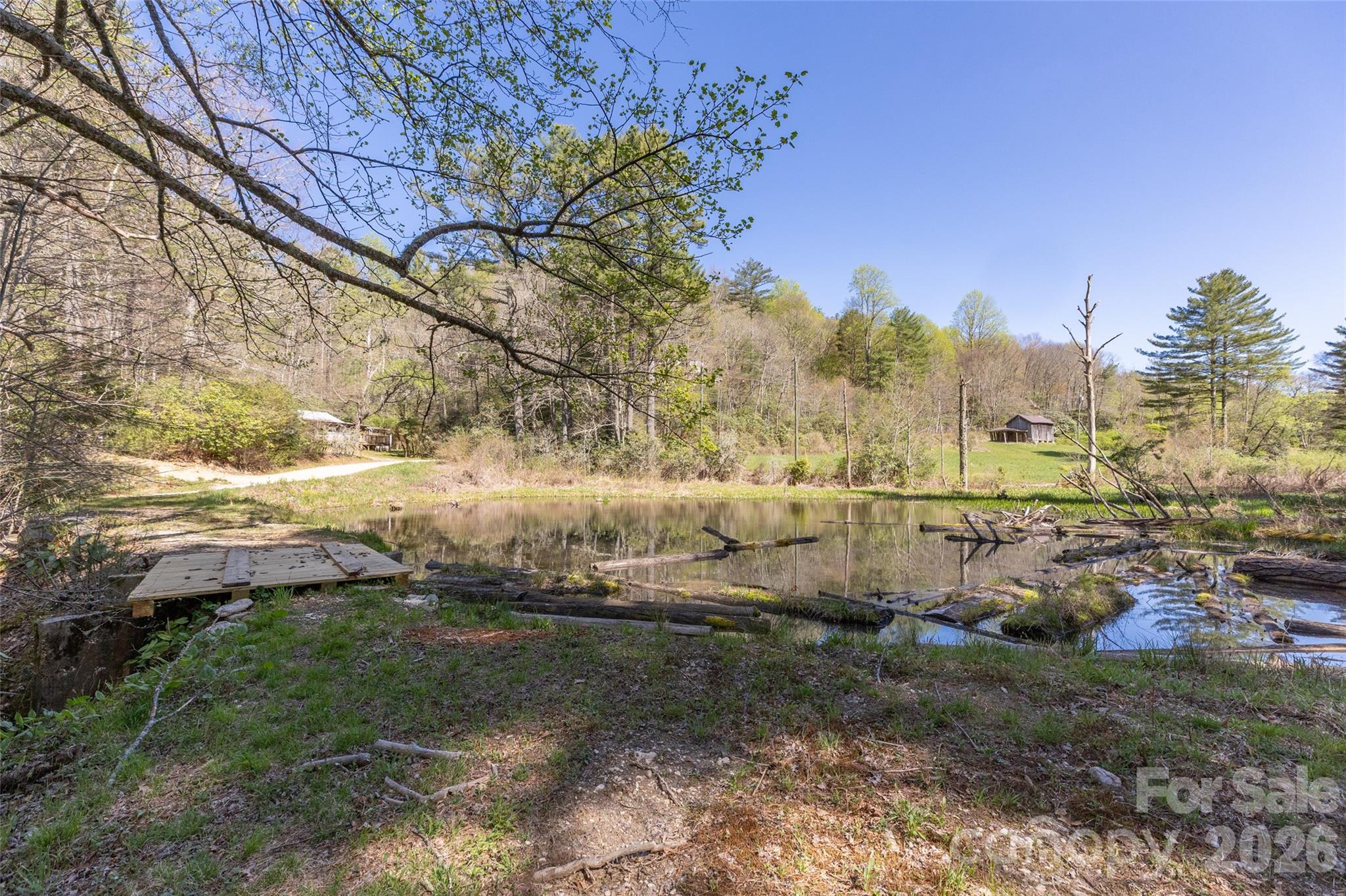 4419 Flat Mountain Road Highlands, NC 28741 - Photo 6 of 17