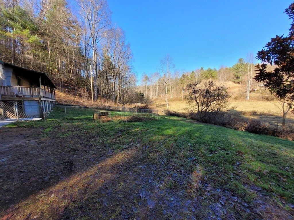 145 Crawford Stiles Road Farner, TN 37333 - Photo 26 of 45 a view of a yard with plants and a large tree