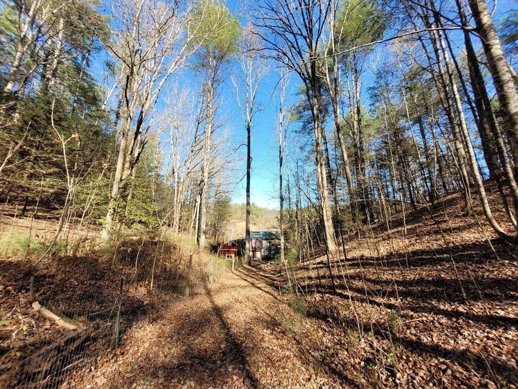145 Crawford Stiles Road Farner, TN 37333 - Photo 33 of 45 a view of a backyard of the house