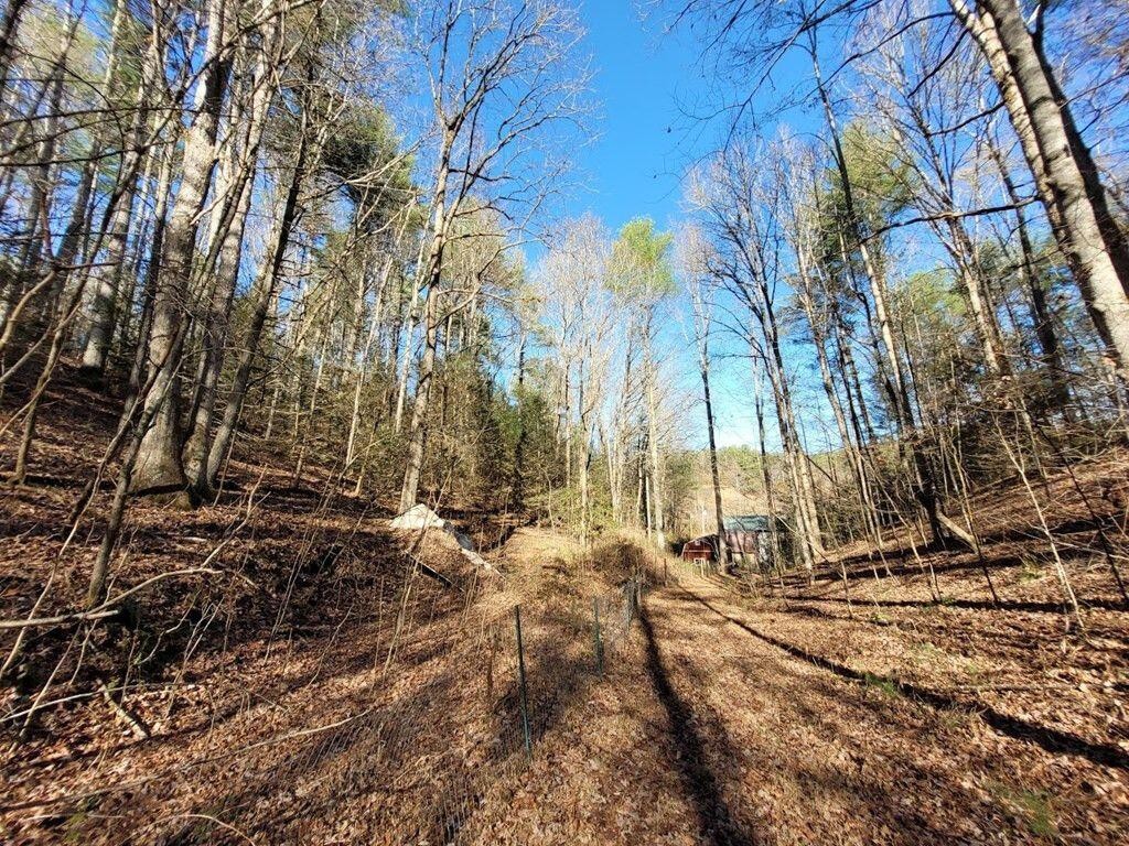 145 Crawford Stiles Road Farner, TN 37333 - Photo 35 of 45 a view of yard