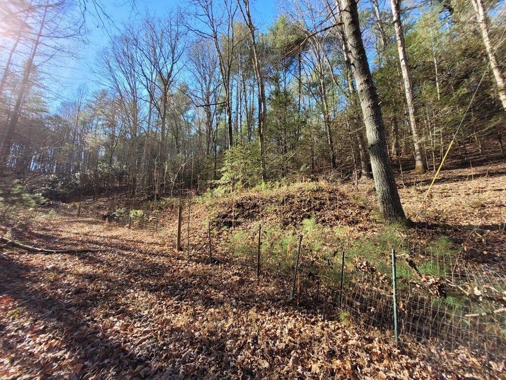 145 Crawford Stiles Road Farner, TN 37333 - Photo 37 of 45 a view of backyard of a house