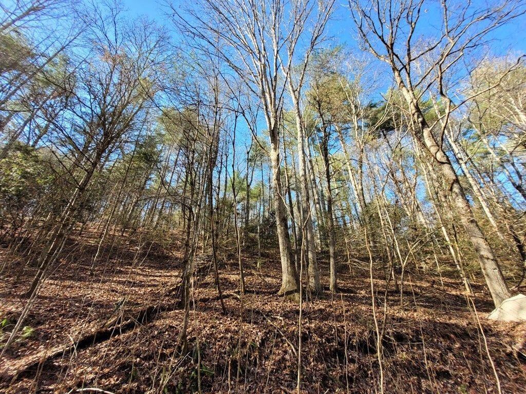 145 Crawford Stiles Road Farner, TN 37333 - Photo 39 of 45 a view of a backyard of the house