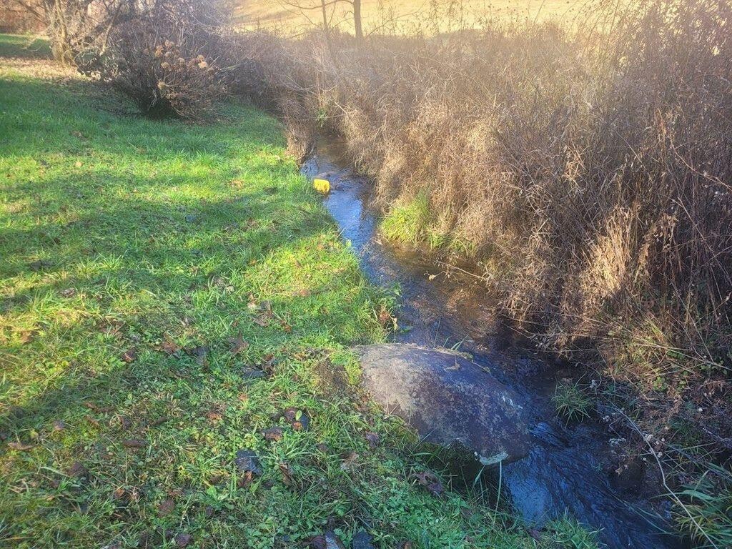 145 Crawford Stiles Road Farner, TN 37333 - Photo 41 of 45 a view of yard