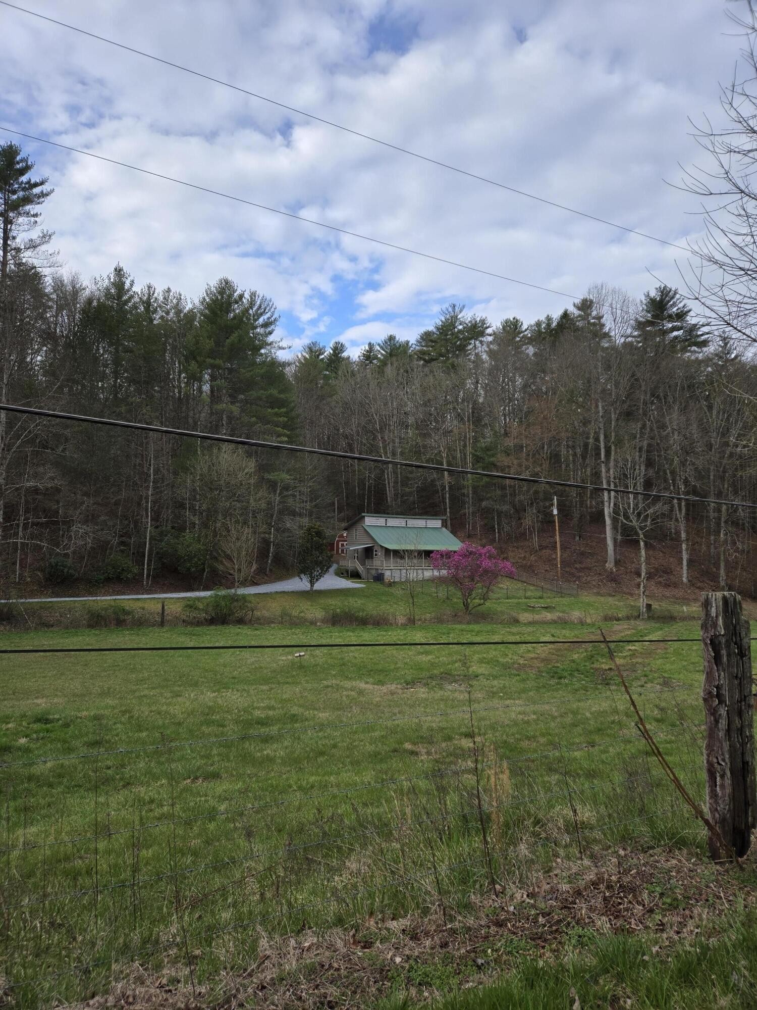 145 Crawford Stiles Road Farner, TN 37333 - Photo 42 of 45 a backyard of a house with lots of green space and trampoline