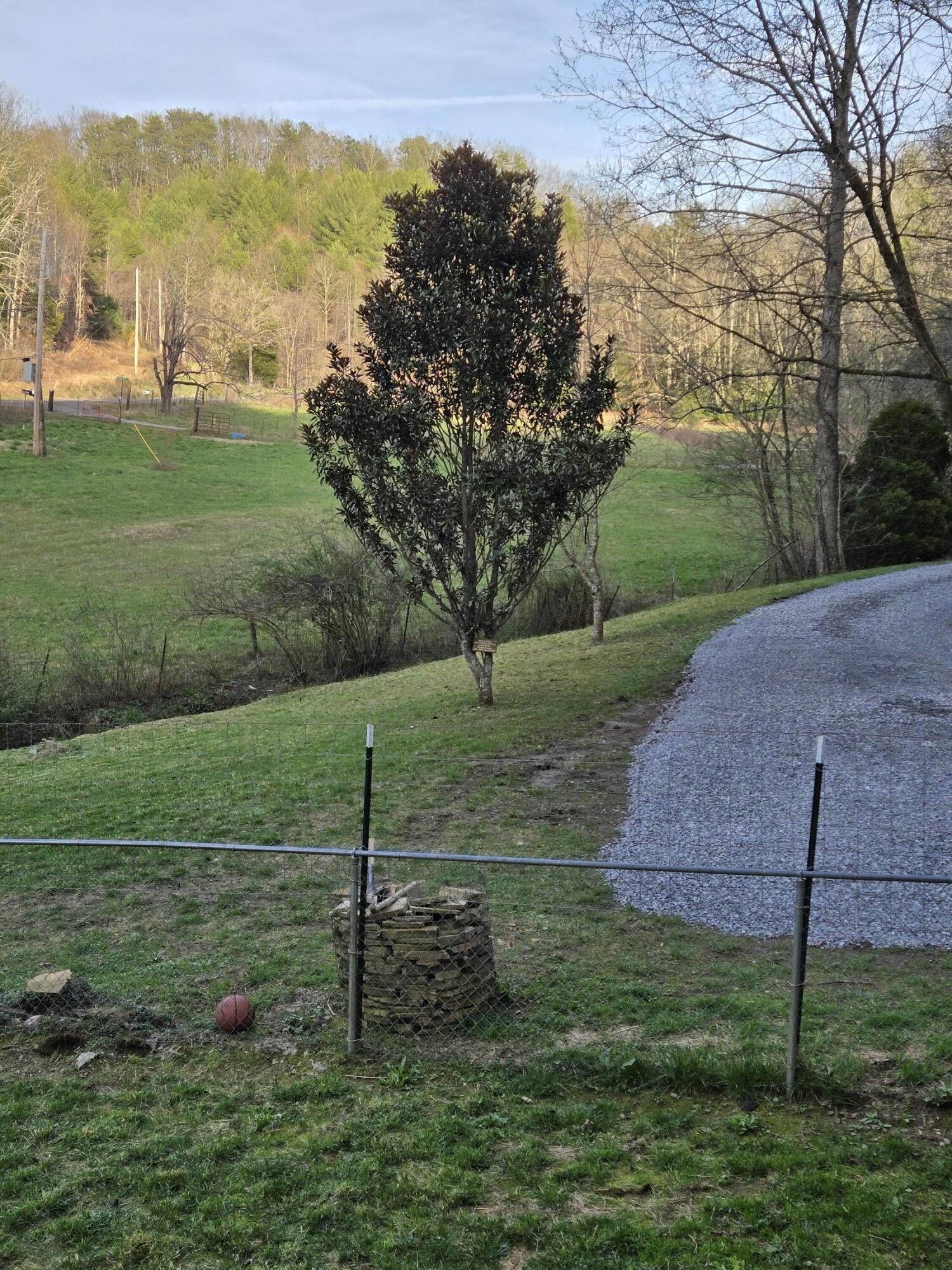 145 Crawford Stiles Road Farner, TN 37333 - Photo 45 of 45 a view of a garden with a big yard