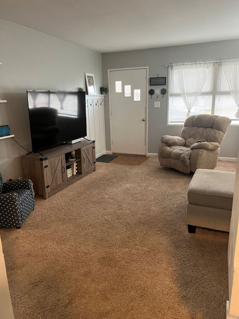 1170 Westview Drive Rochelle, IL 61068 - Photo 5 of 12 a living room with furniture and a flat screen tv