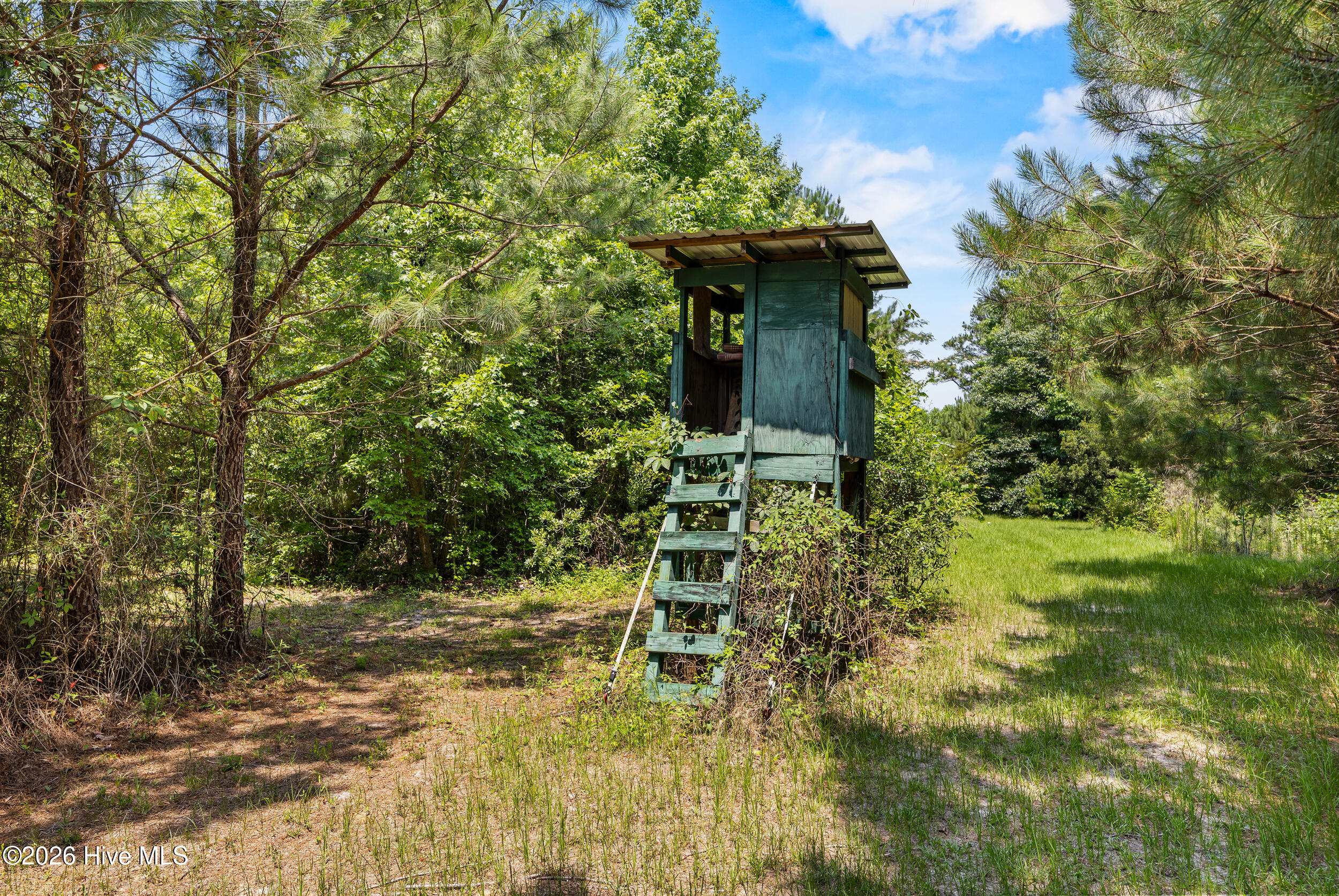 8821 Red Hill Road Clarkton, NC 28433 - Photo 38 of 76