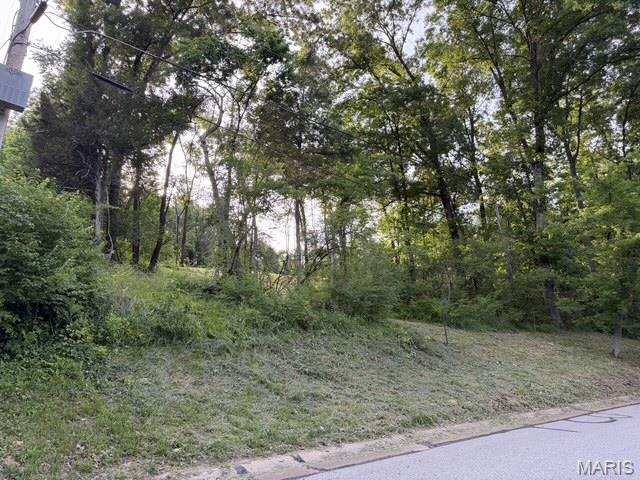 702 Salt Mill Road Chesterfield, MO 63017 - Photo 6 of 8