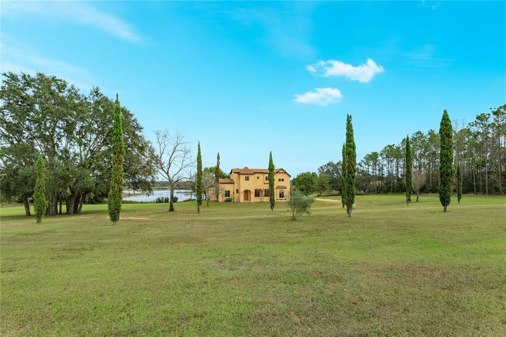 24540 Turkey Lake Road Howey-in-the-Hills, FL 34737 - Photo 4 of 42 a group of tall trees sitting in a yard with large trees