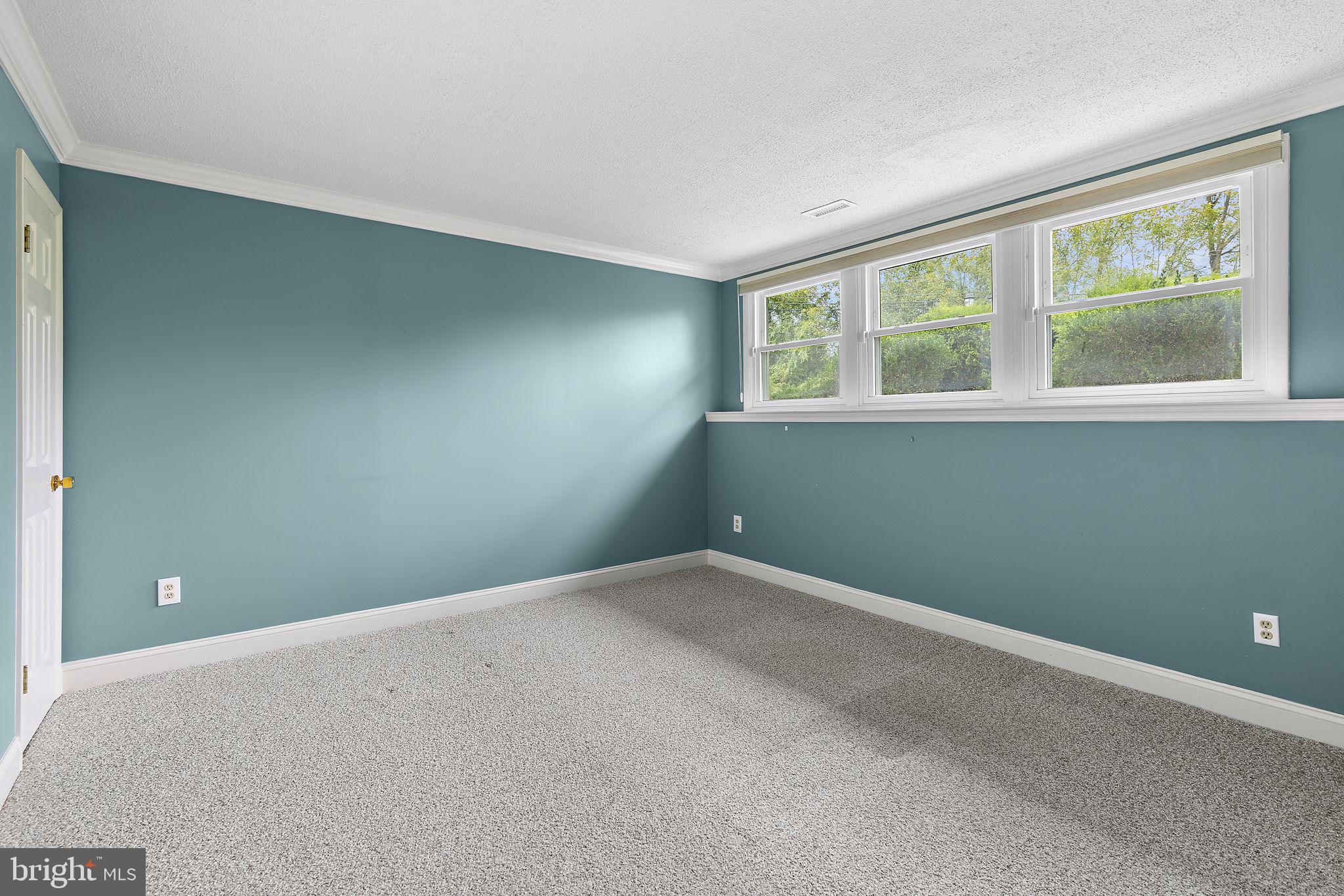 1404 Ryan Road Fallston, MD 21047 - Photo 33 of 50 Lower level bedroom 4 w/crown molding & carpet