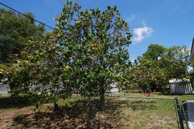 a backyard of a house with table and chairs plants and large trees