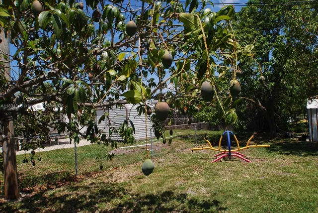 a view of a park with a slide