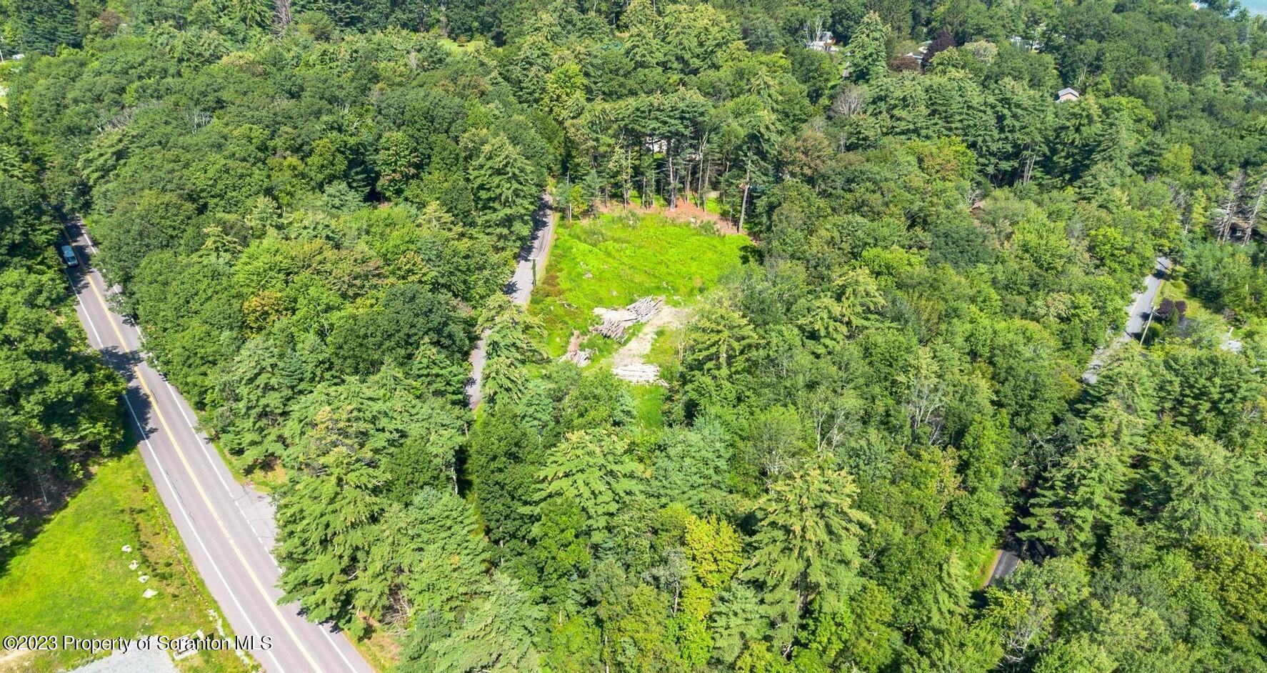 507 Rd Tafton Pa Tafton, PA 18464 - Photo 4 of 9 a view of a yard with plants