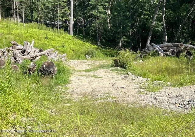 a view of a lake with a yard