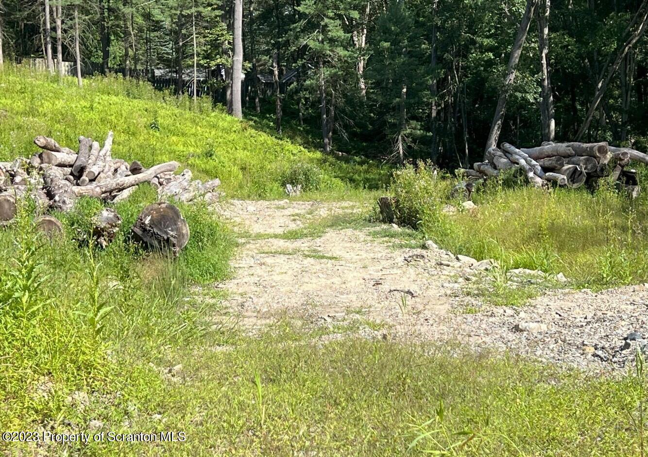 507 Rd Tafton Pa Tafton, PA 18464 - Photo 7 of 9 a view of a lake with a yard