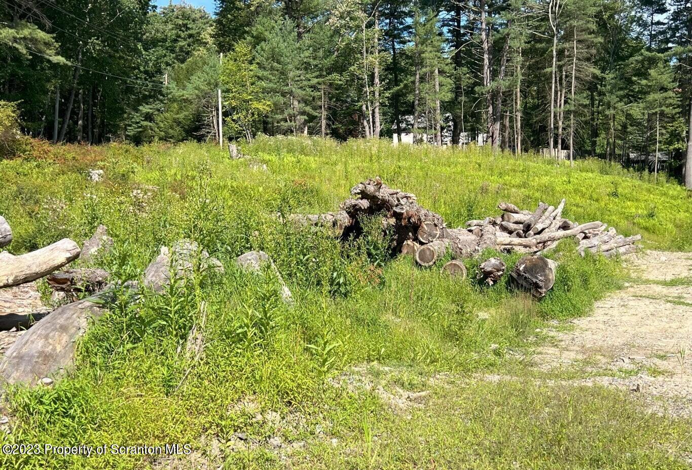 507 Rd Tafton Pa Tafton, PA 18464 - Photo 8 of 9 a view of a golf course with chairs