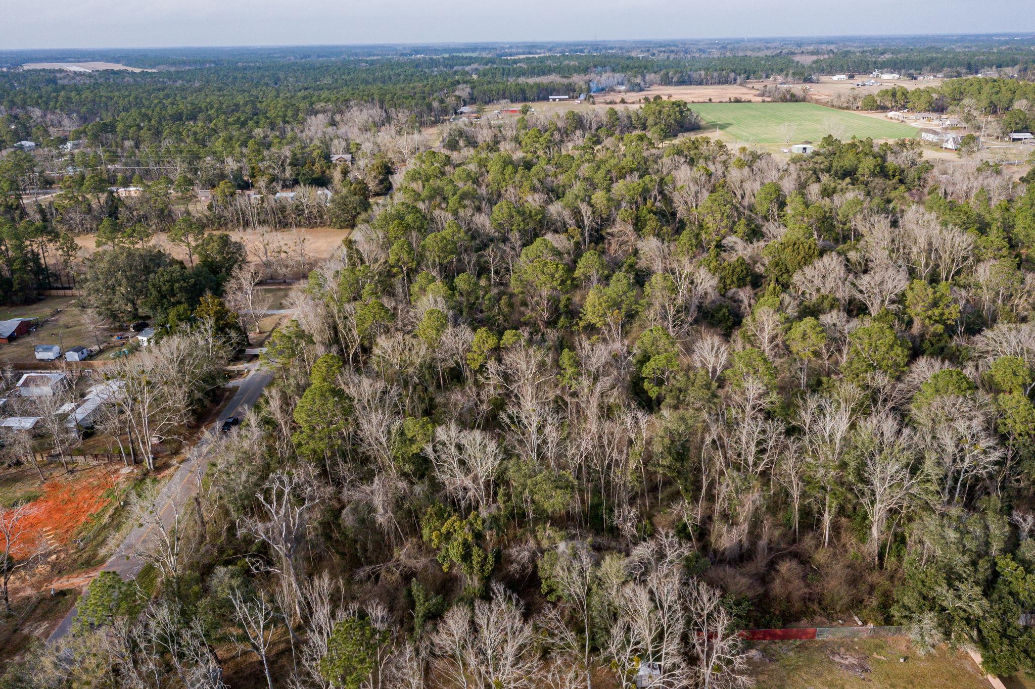 24060 Miflin Road Elberta, AL 36530 - Photo 18 of 18