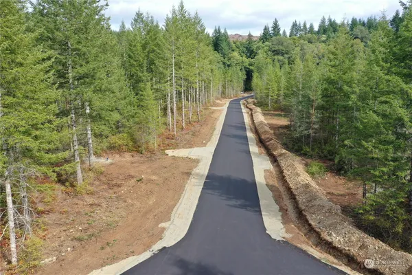 a view of a pathway with a park side with large trees