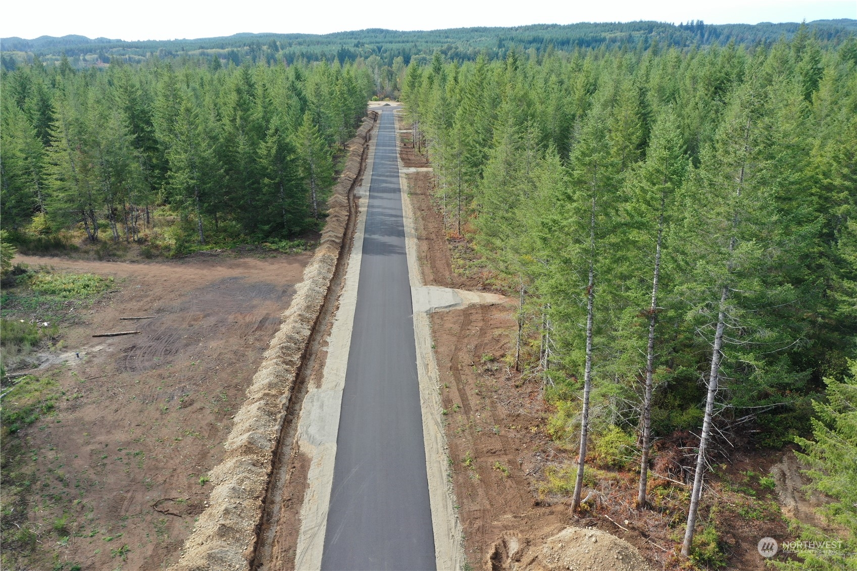 0 Lot 5 Div Elma, WA 98541 - Photo 7 of 8 a view of a yard with an trees