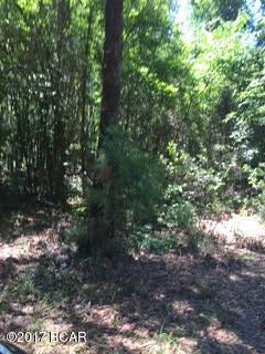 2246 Overpass Road Campbellton, FL 32426 - Photo 13 of 31