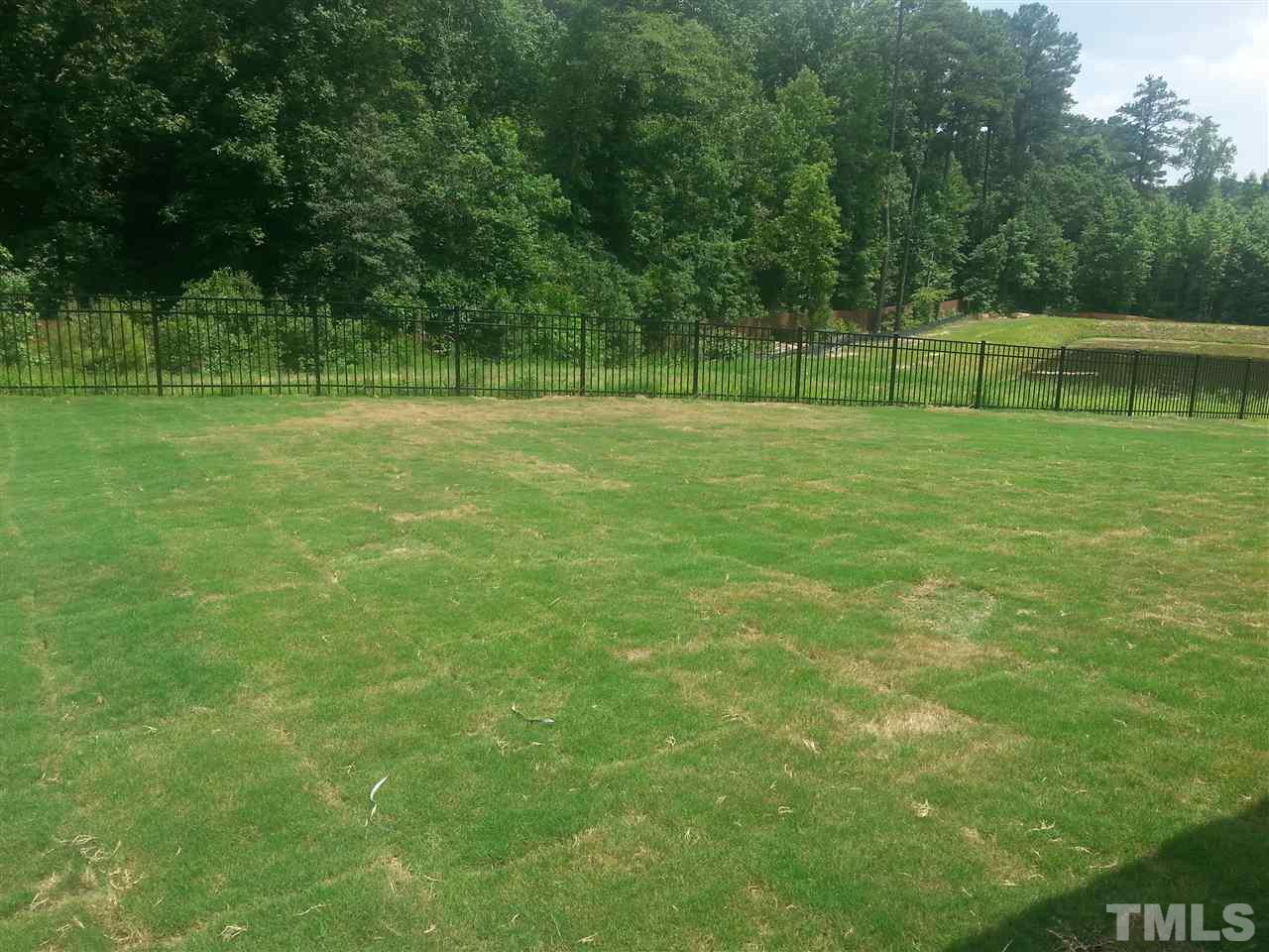 7524 Channery Way Raleigh, NC 27616 - Photo 23 of 25 a view of a park with a large trees