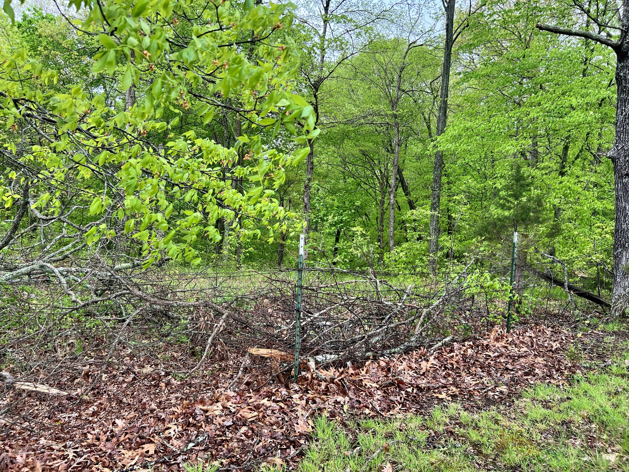 1743 Bumpus Mills Road Dover, TN 37058 - Photo 12 of 13 Gallery Image 12